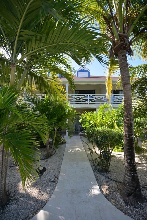 Caribbean Paradise Inn Грейс-Бэй Экстерьер фото