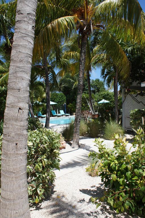 Caribbean Paradise Inn Грейс-Бэй Экстерьер фото