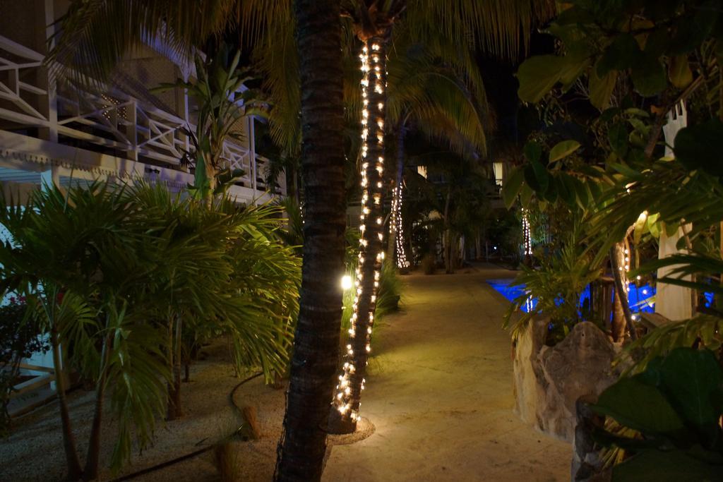 Caribbean Paradise Inn Грейс-Бэй Экстерьер фото